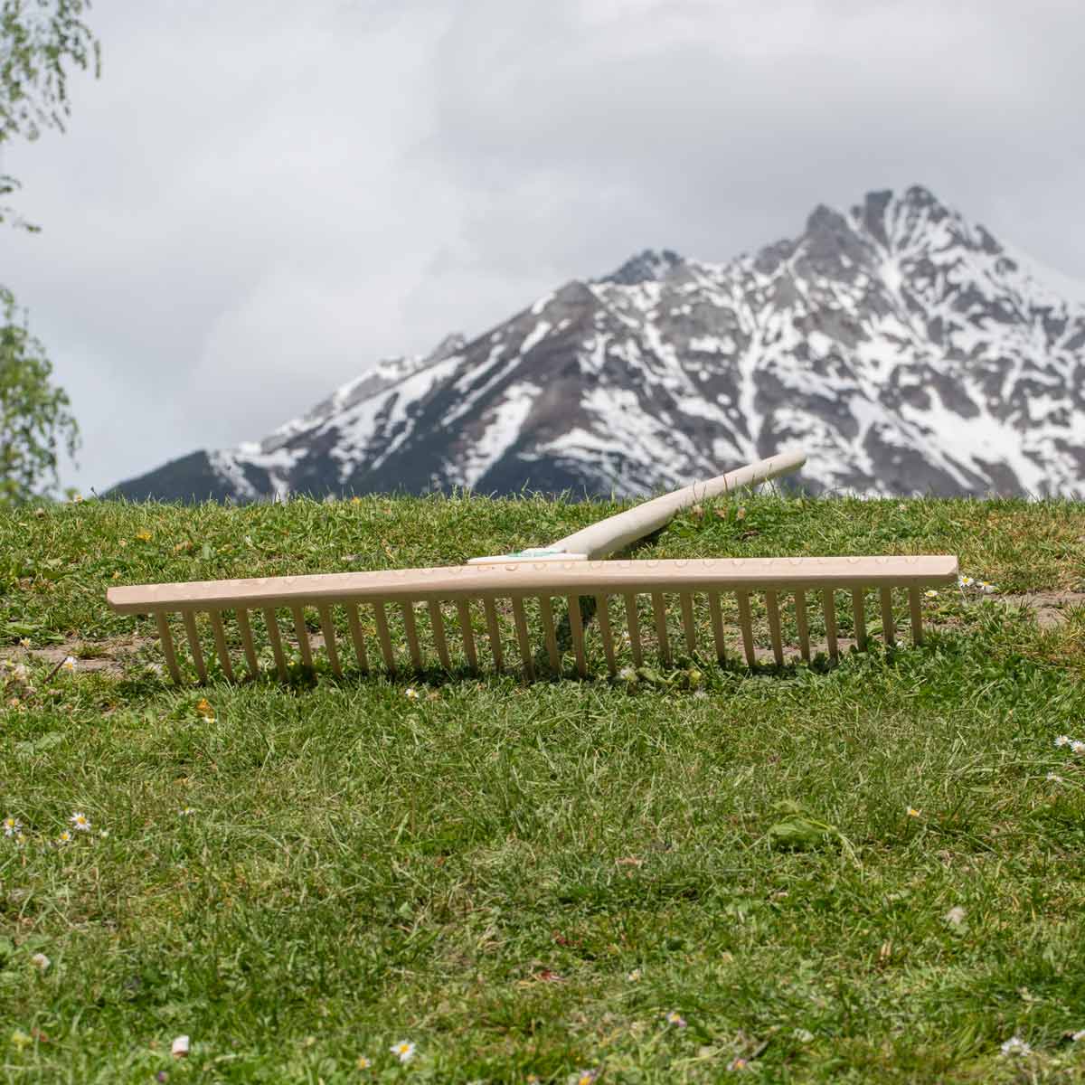 Hochwertiger Rasenrechen mit 28 Kunststoffzinken | 67 cm Rechenhaupt | 180 cm Lindenholzstiel  | Made in Austria